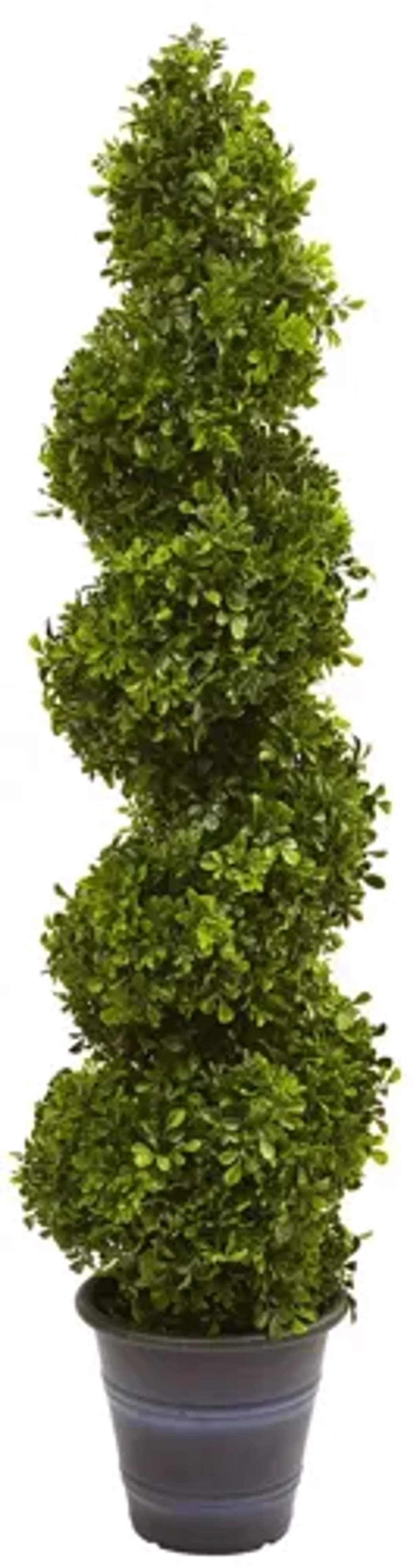 Boxwood Spiral Topiary with Planter (Indoor/Outdoor) in Green by Bellanest