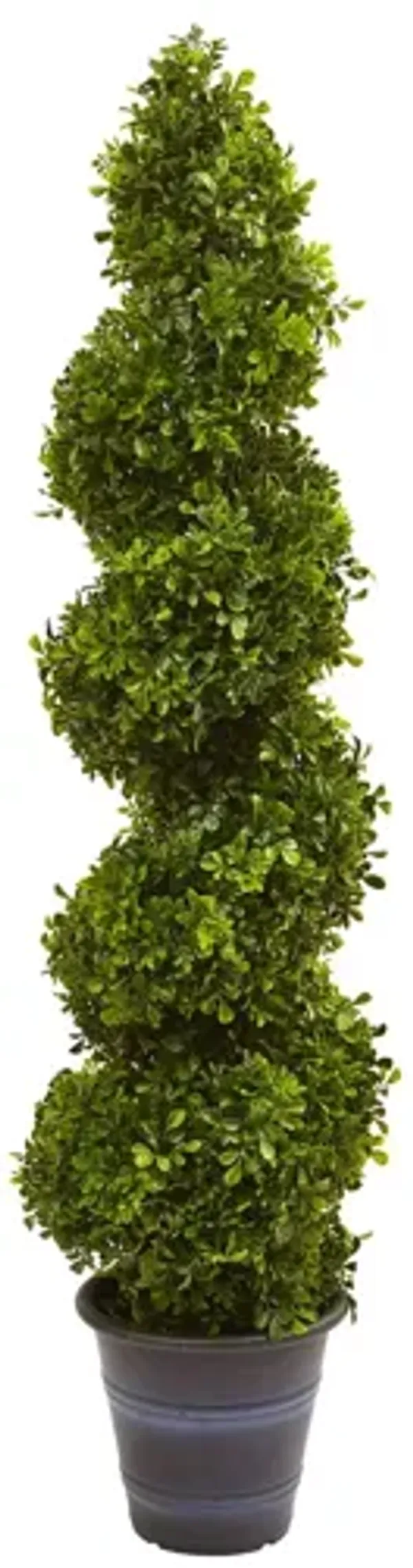 Boxwood Spiral Topiary with Planter (Indoor/Outdoor)