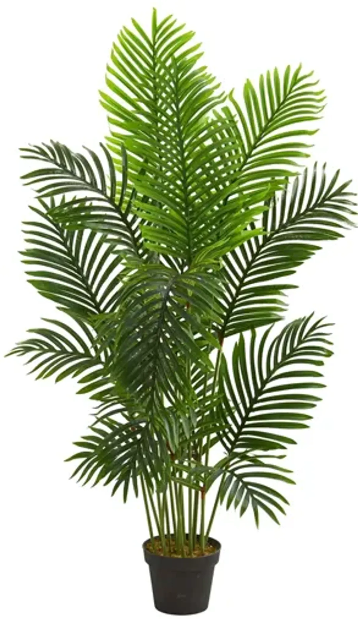 5ft. Paradise Palm Artificial Tree in Green by Bellanest