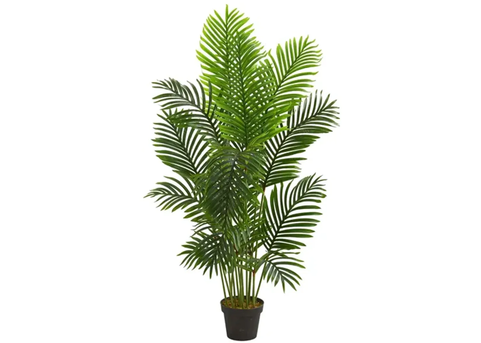 5ft. Paradise Palm Artificial Tree in Green by Bellanest