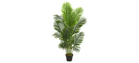5ft. Paradise Palm Artificial Tree in Green by Bellanest