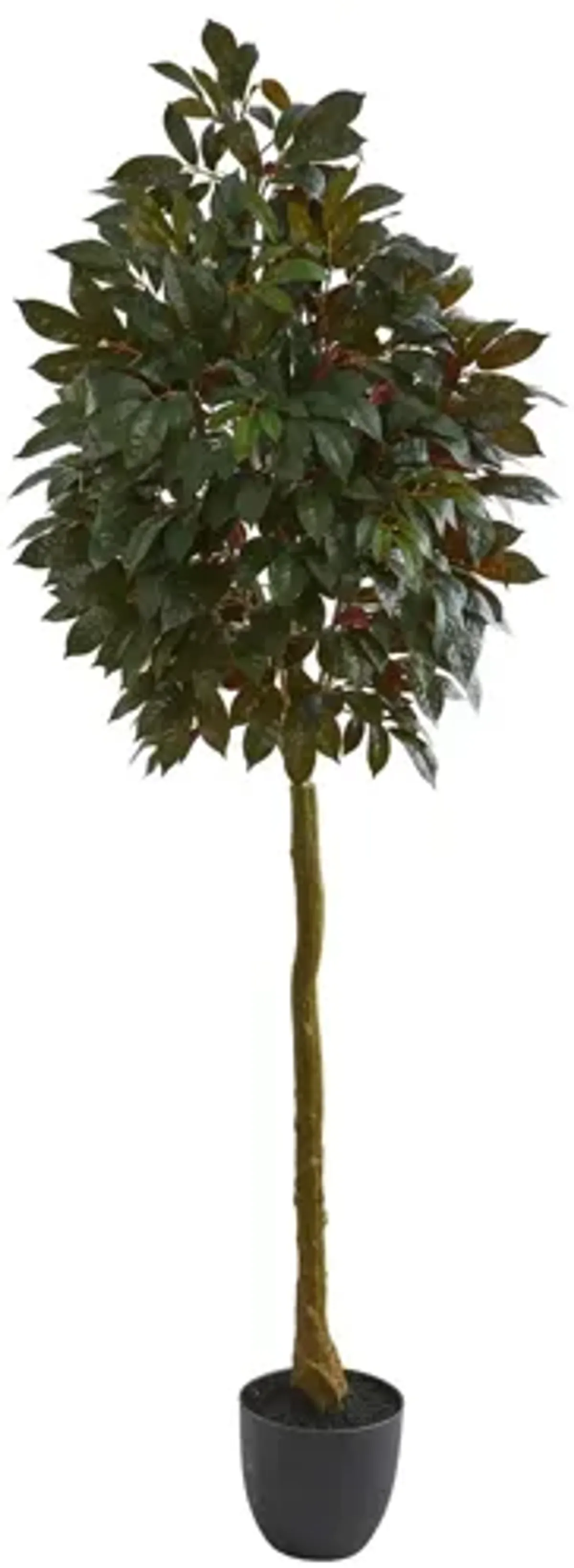 75in. Capensia Ficus Artificial Tree in Green by Bellanest