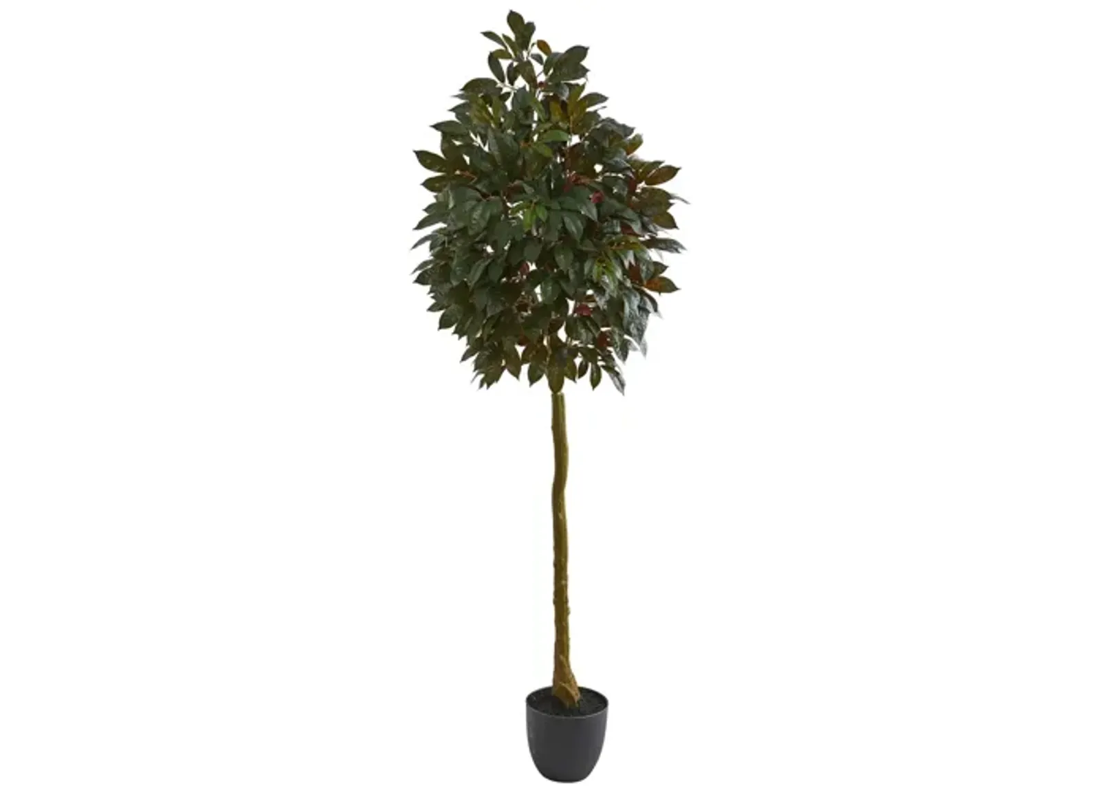 75in. Capensia Ficus Artificial Tree in Green by Bellanest