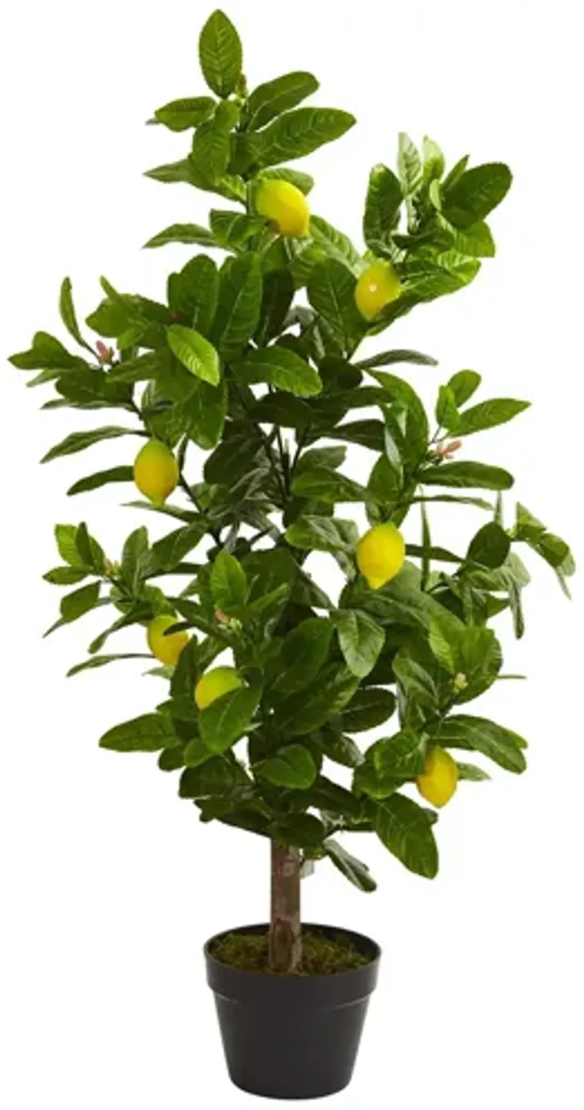 3ft. Lemon Artificial Tree