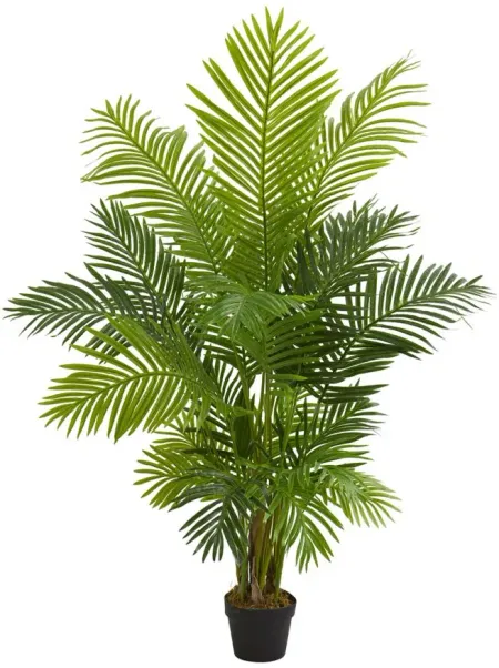 5ft. Hawaii Palm Artificial Tree in Green by Bellanest