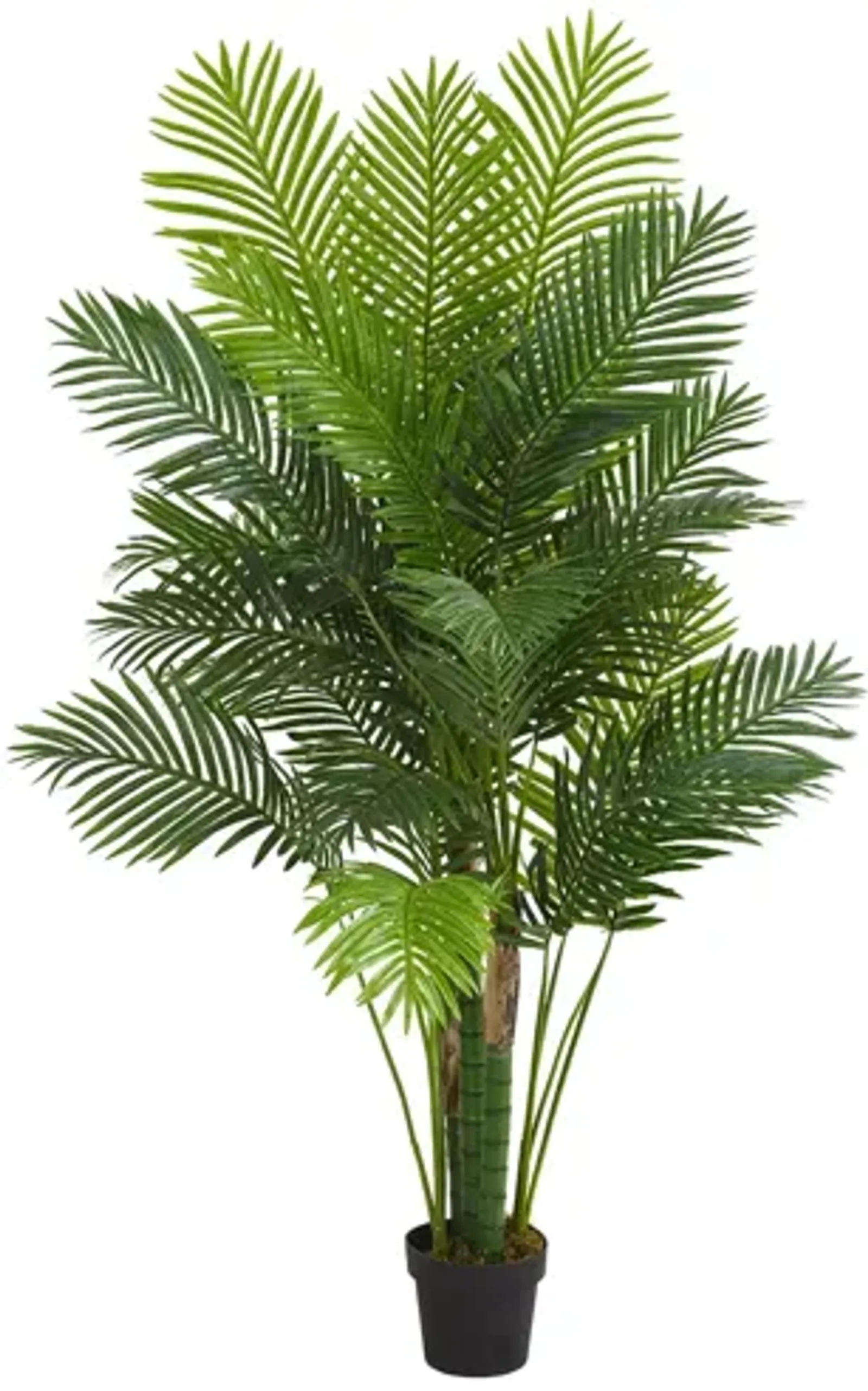 6ft. Hawaii Palm Artificial Tree