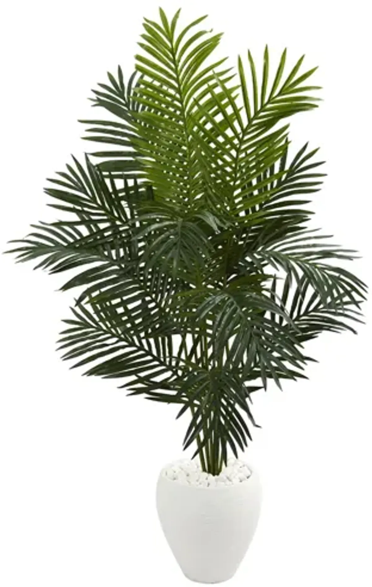 5.5ft. Paradise Artificial Palm Tree in Planter in Green by Bellanest