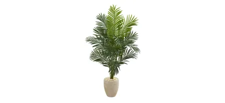 5.5ft. Paradise Artificial Palm Tree in Planter in Green by Bellanest