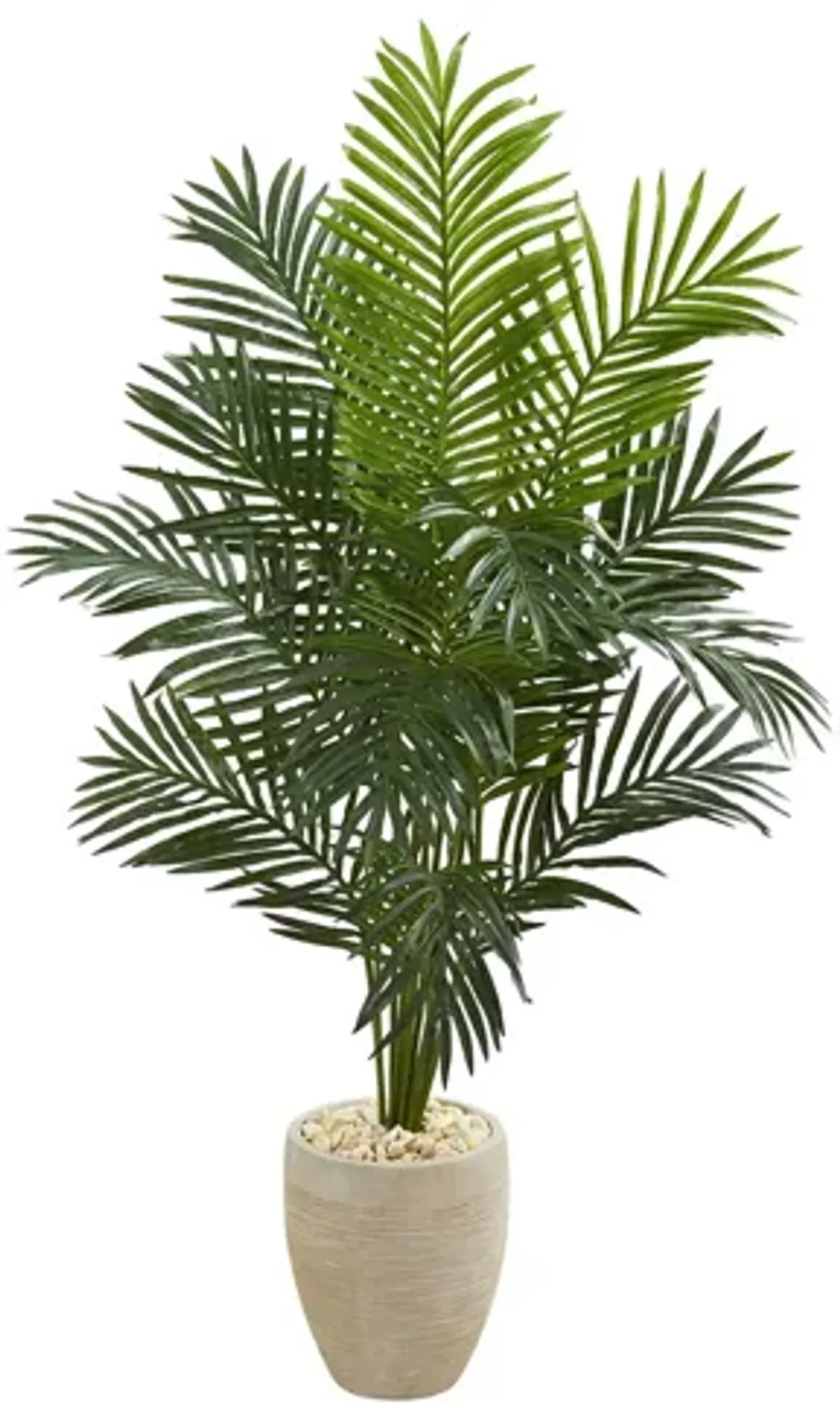 5.5ft. Paradise Artificial Palm Tree in Planter