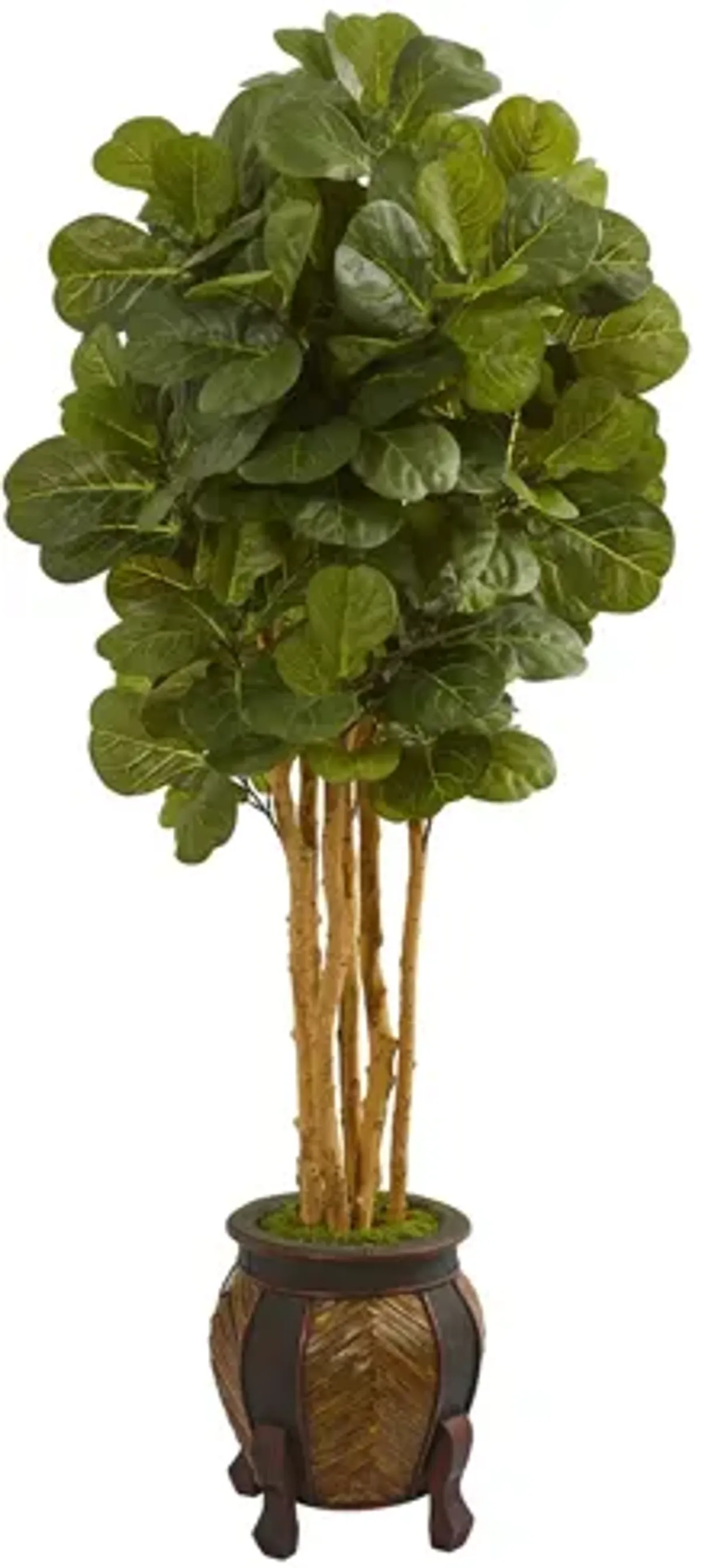 5.5ft. Fiddle Leaf Artificial Tree in Planter in Green by Bellanest