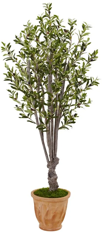 5ft. Olive Artificial Tree in Terracotta Planter in Green by Bellanest