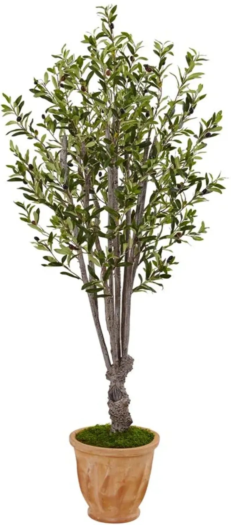 5ft. Olive Artificial Tree in Terracotta Planter in Green by Bellanest