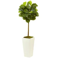 4.5ft. Fiddle Leaf Fig in White Planter in Green by Bellanest