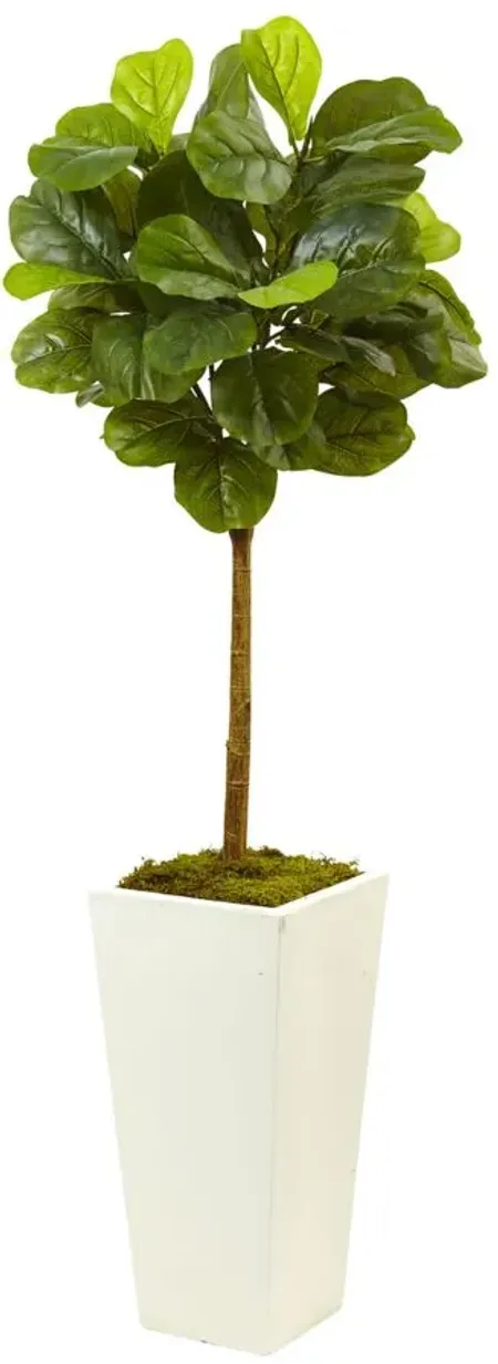 4.5ft. Fiddle Leaf Fig in White Planter in Green by Bellanest