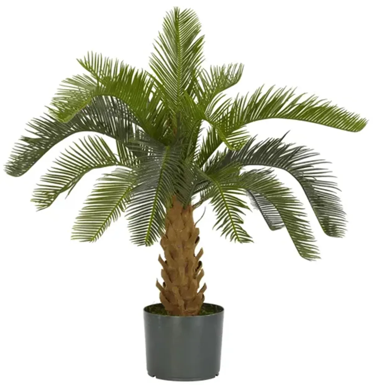 Plastic Cycas Tree in Green by Bellanest