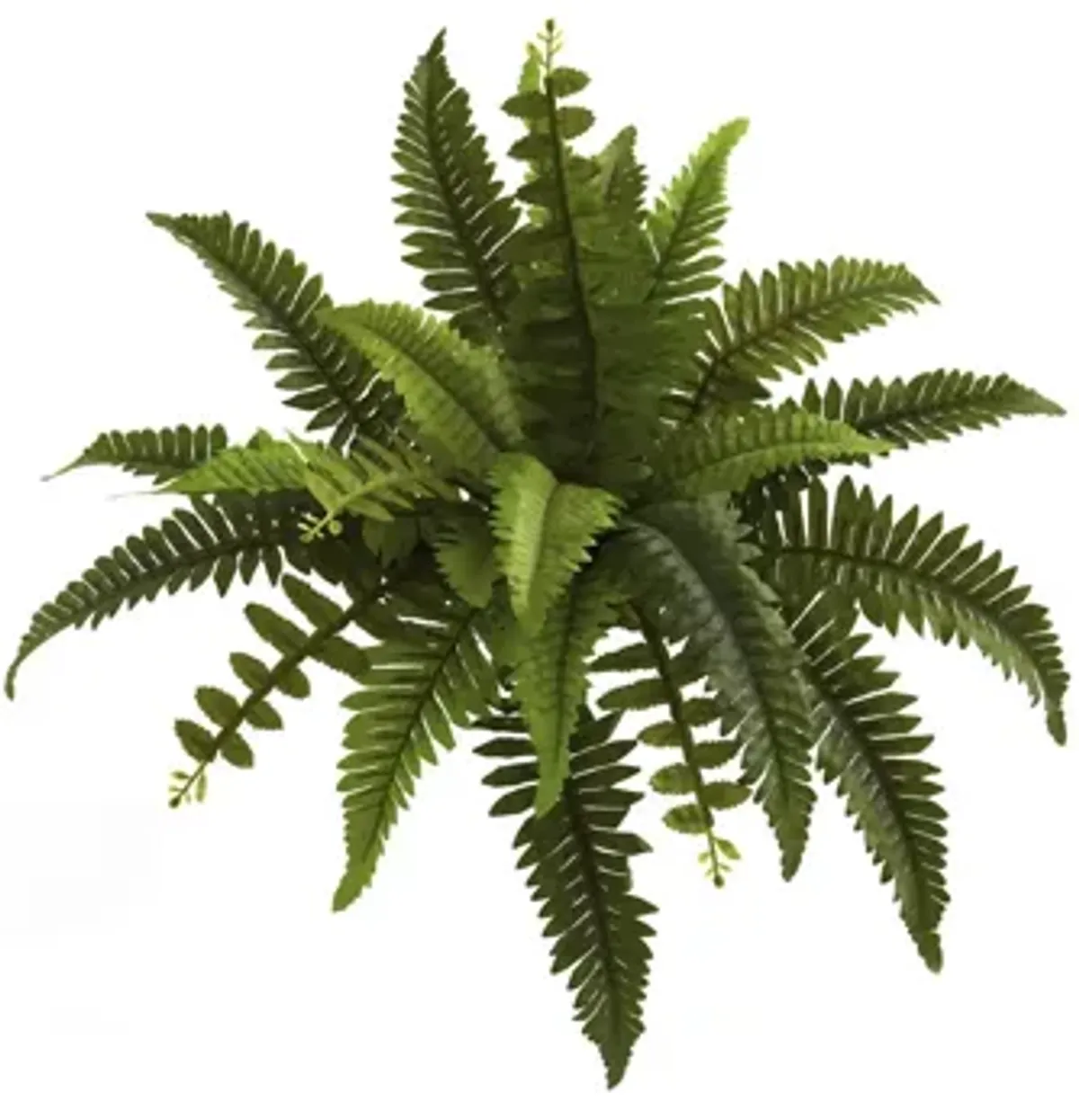 14in. Boston Fern Artificial Plant (Set of 6)