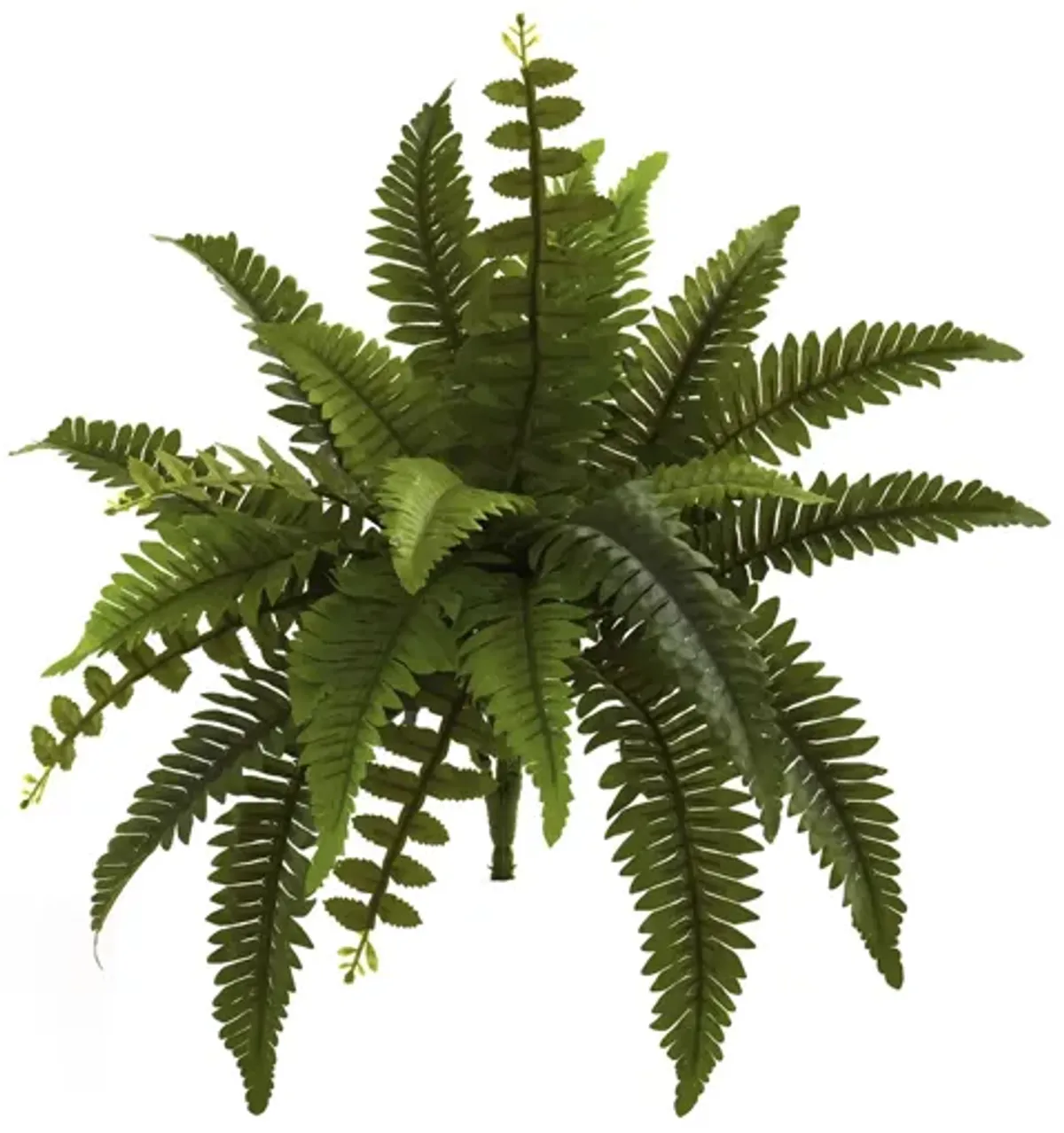 14in. Boston Fern Artificial Plant (Set of 6)