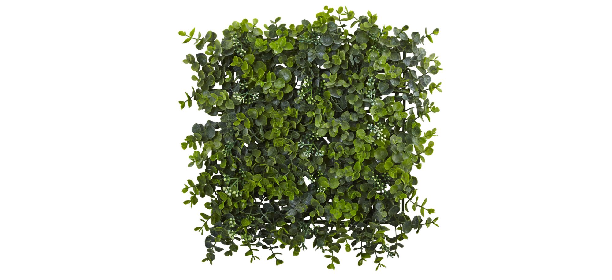 12in. x 12in. Eucalyptus Mat (Set of 8) in Green by Bellanest