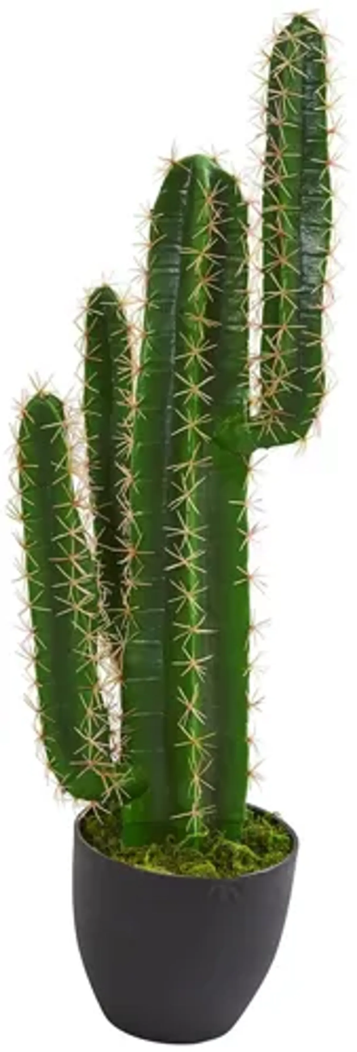 2.5ft. Cactus Artificial Plant in Green by Bellanest