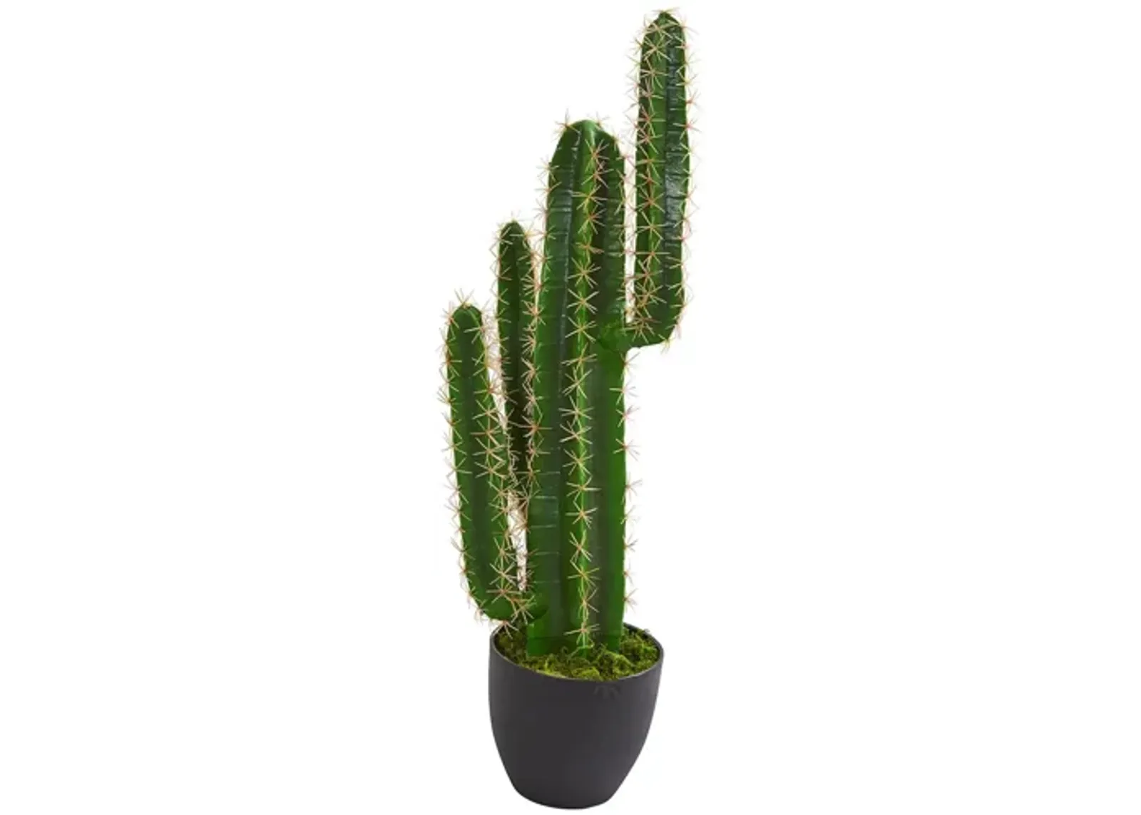 2.5ft. Cactus Artificial Plant in Green by Bellanest