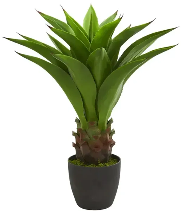 30in. Agave Artificial Plant