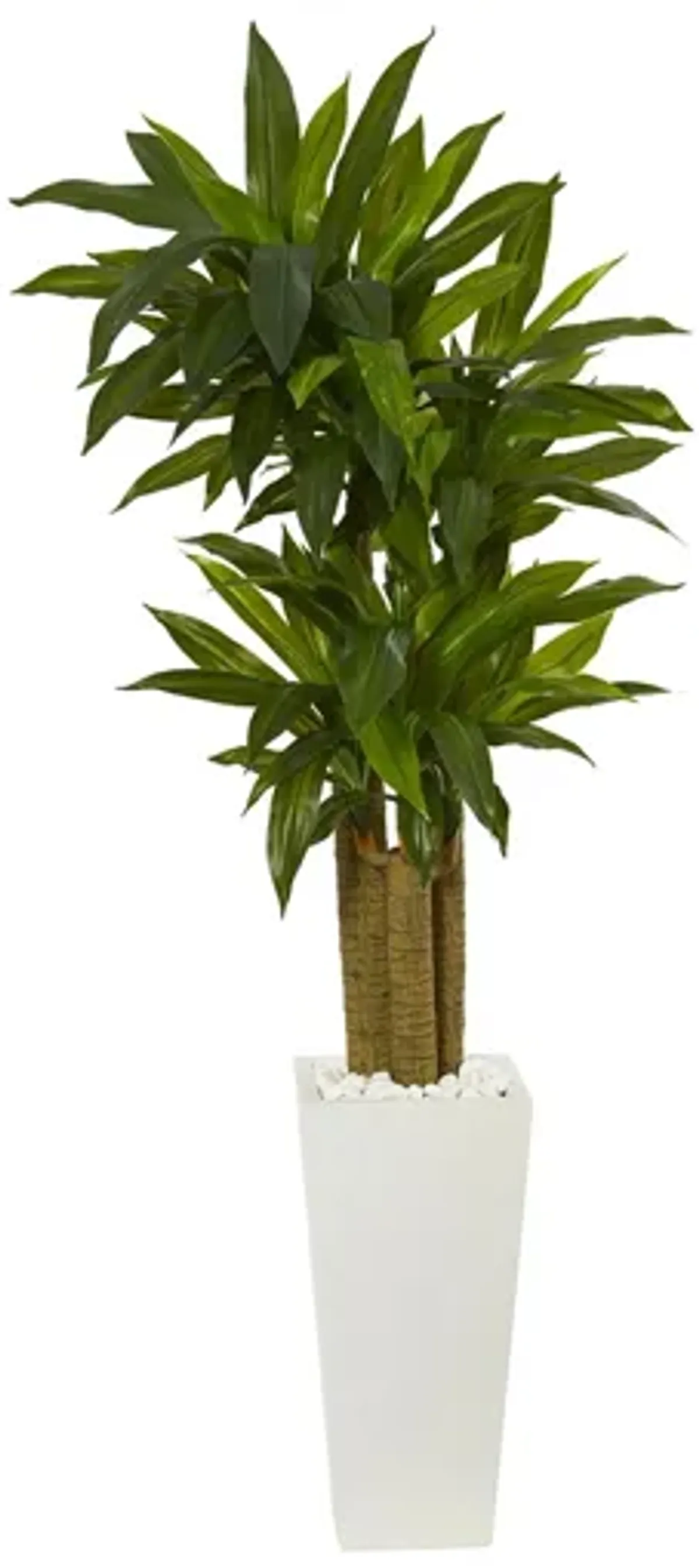 5ft. Cornstalk Dracaena Artificial Plant in White Tower Planter in Green by Bellanest