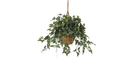 English Ivy Hanging Basket in Green by Bellanest
