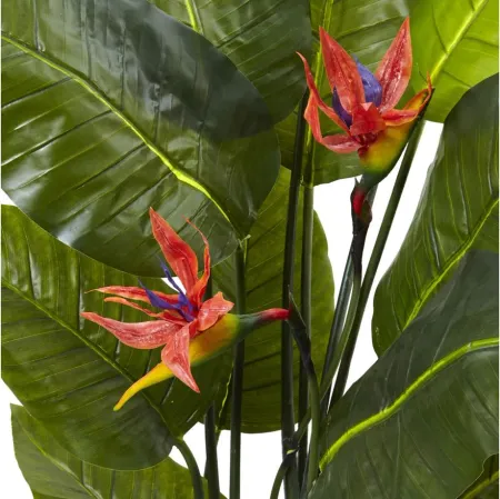 58in. Bird of Paradise Plant in Green by Bellanest