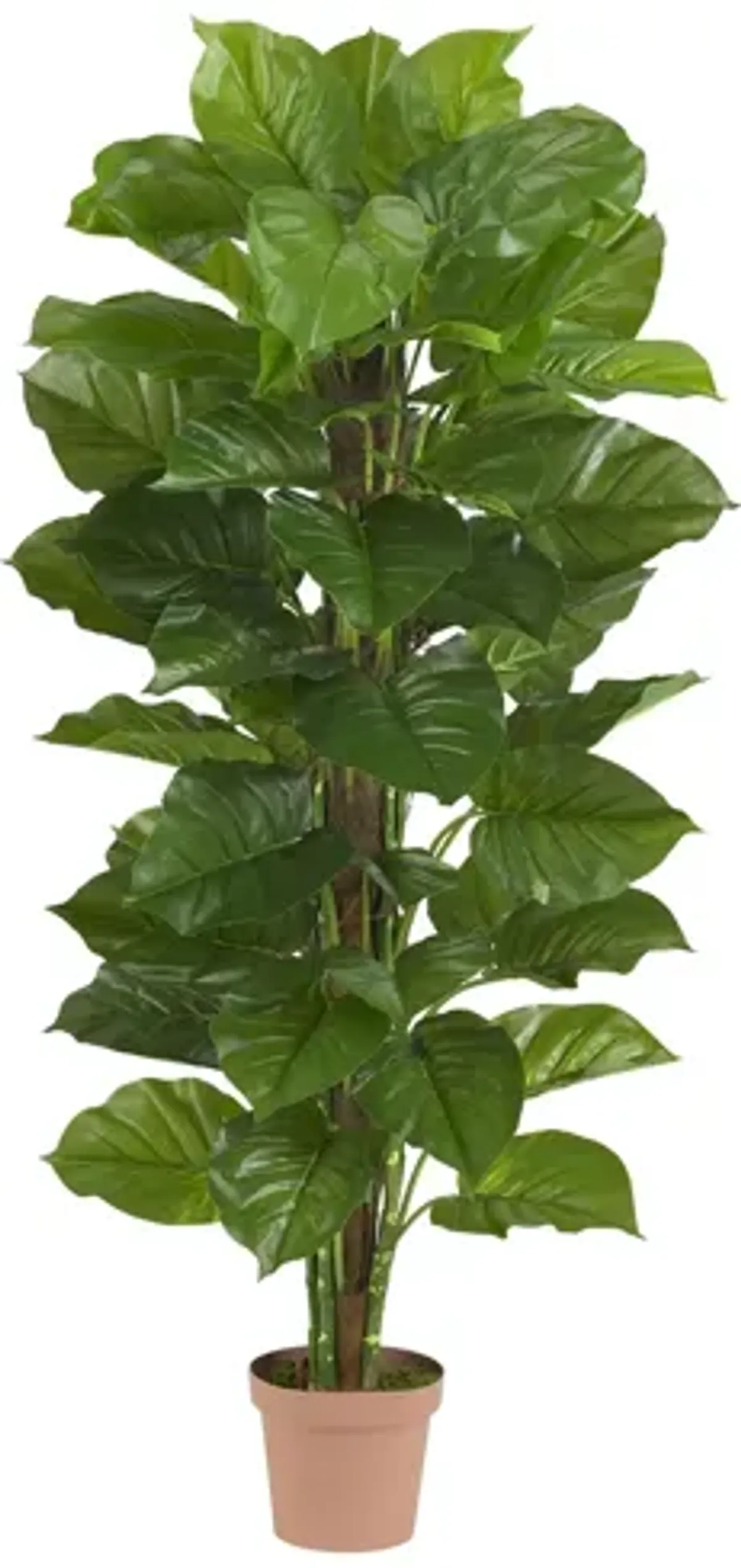 63in. Large Leaf Philodendron Silk Plant in Green by Bellanest