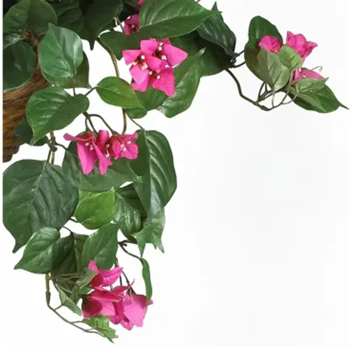 Bougainvillea Hanging Basket Silk Plant