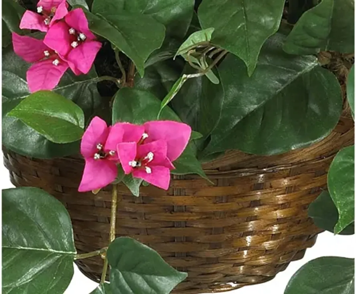 Bougainvillea Hanging Basket Silk Plant