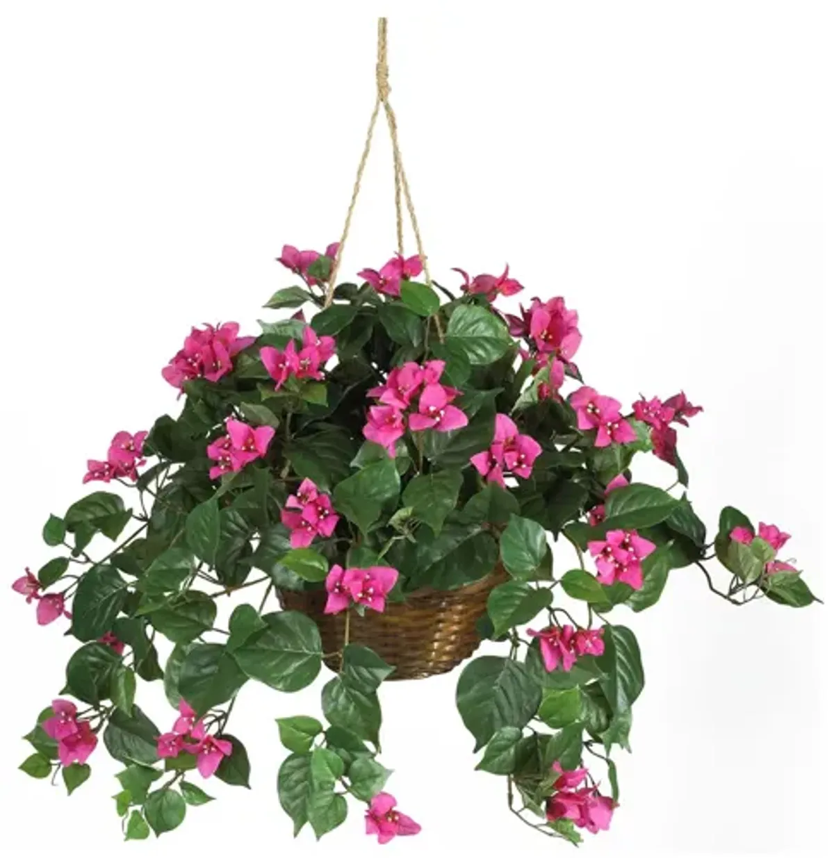 Bougainvillea Hanging Basket Silk Plant