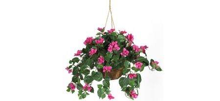 Bougainvillea Hanging Basket Silk Plant in Beauty by Bellanest