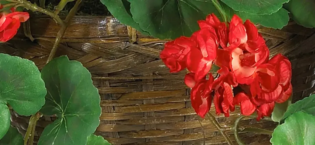 Geranium Hanging Basket Silk Plant