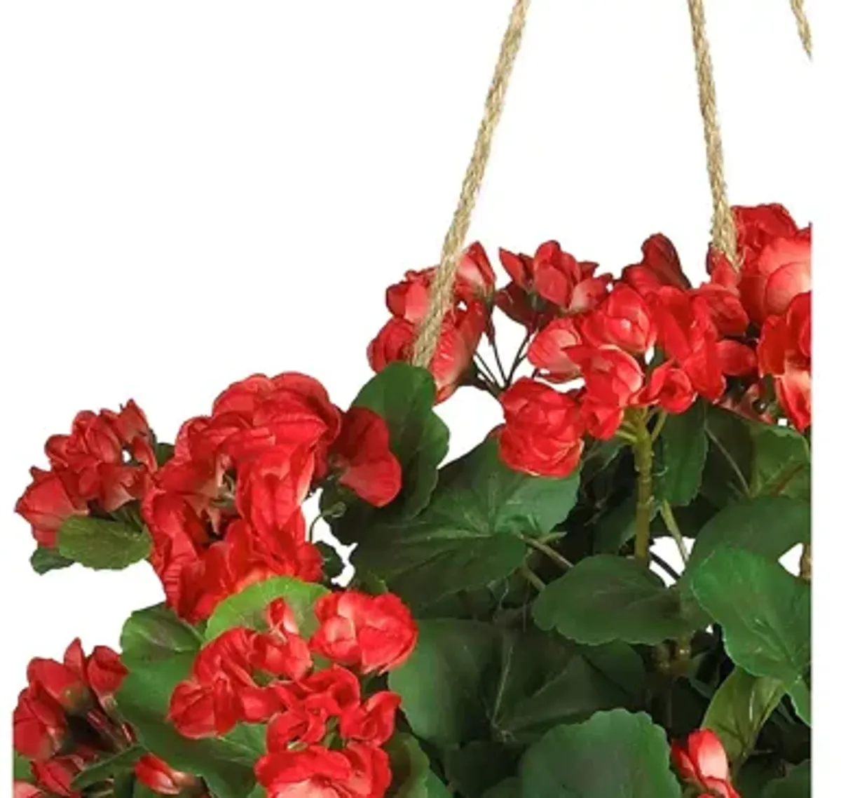 Geranium Hanging Basket Silk Plant