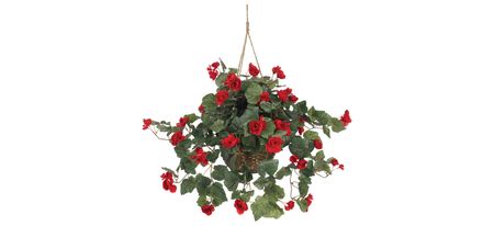 Begonia Hanging Basket in Red by Bellanest