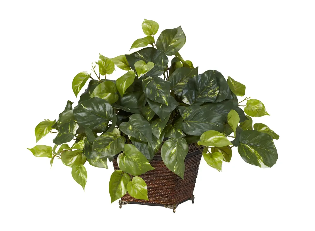 Pothos with Coiled Rope Planter Silk Plant in Green by Bellanest