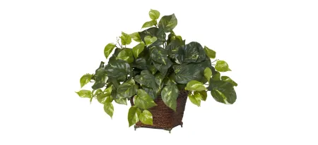 Pothos with Coiled Rope Planter Silk Plant in Green by Bellanest