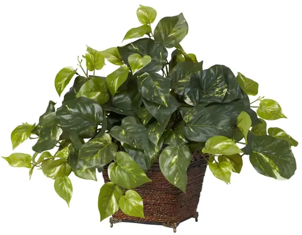 Pothos with Coiled Rope Planter Silk Plant