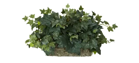 Ivy Ledge Plant (Set on Foam) Silk Plant in Green by Bellanest