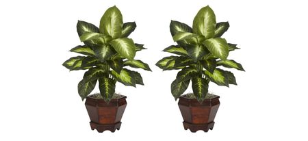 Dieffenbachia with Wood Vase Silk Plant (Set of 2) in Golden by Bellanest