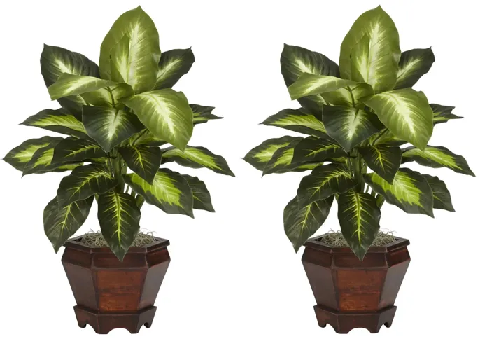 Dieffenbachia with Wood Vase Silk Plant (Set of 2) in Golden by Bellanest