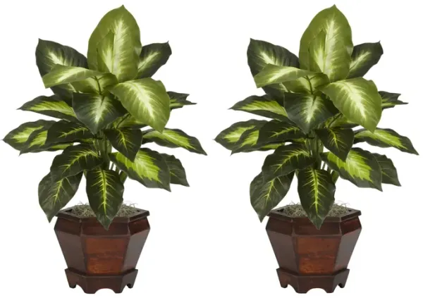 Dieffenbachia with Wood Vase Silk Plant (Set of 2)