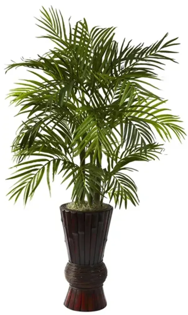 4ft. Areca with Bamboo Planter