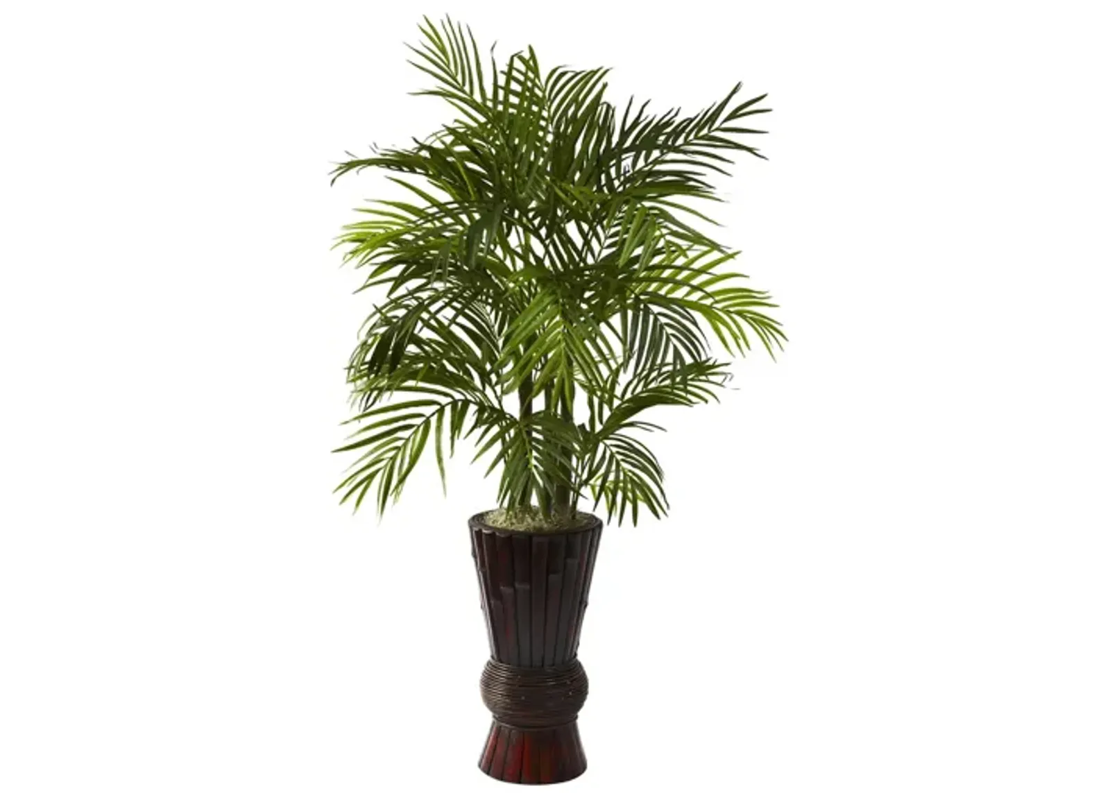 4ft. Areca with Bamboo Planter in Green by Bellanest