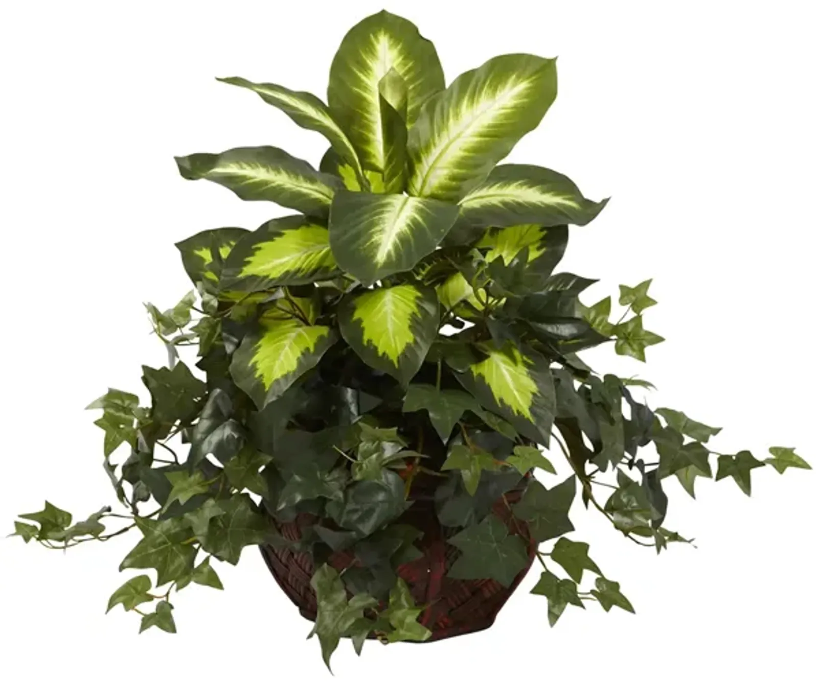 Dieffenbachia & Ivy with Decorative Artificial Planter