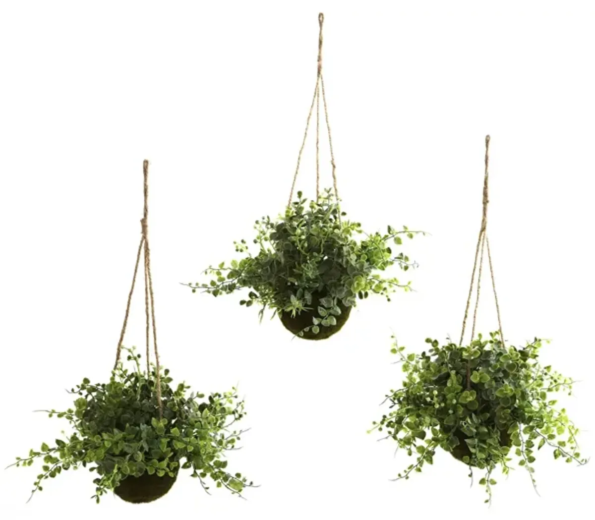 Eucalyptus, Maiden Hair & Berry Hanging Basket (Set of 3) in Green by Bellanest