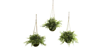 Eucalyptus, Maiden Hair & Berry Hanging Basket (Set of 3) in Green by Bellanest