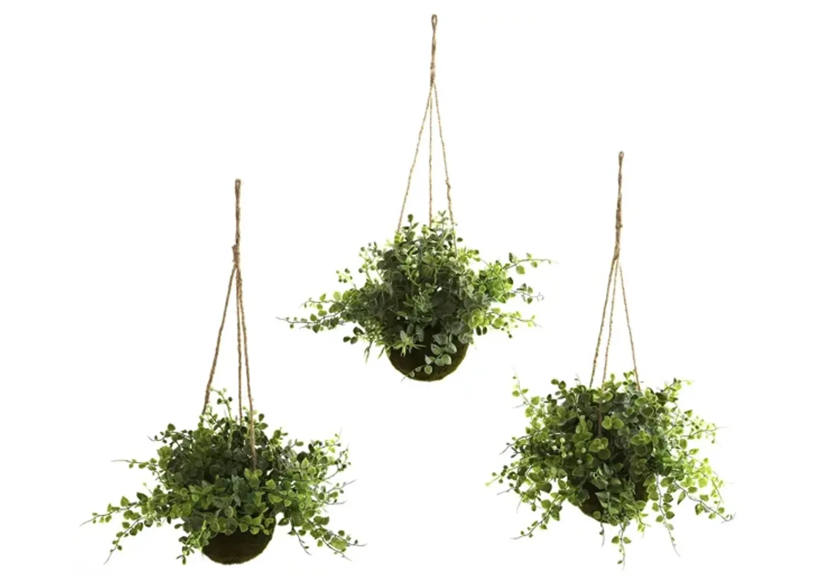 Eucalyptus, Maiden Hair & Berry Hanging Basket (Set of 3) in Green by Bellanest