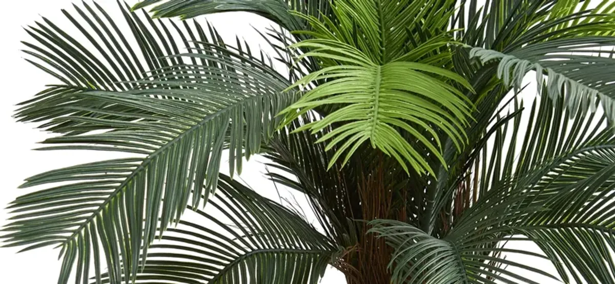 5ft. Cycas Tree (Indoor/Outdoor)